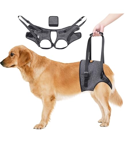 Harnais De Soutien Pour Chien Handicapé Ou Âgé - Sangle D'Assistance Pour Grands Chiens - Aide à La Marche (Taille L)