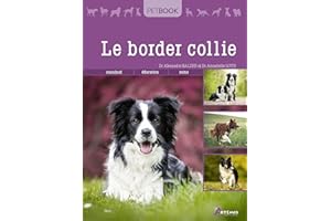 Border collie