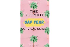 The Ultimate Gap Year Survival Guide: The Essential Handbook for Planning, Exploring, and Thriving During the Adventure of a Lifetime (Travelling Honcho)