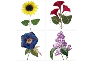 P PANACARE 4 Pack Diamond Painting Kits,5D Diamond Art Kits Full Drill Diamond Painting Kits for Adults Kids Beginners,DIY Flowers Diamond Painting Art for Home Wall Decor with Full Tools Accessories 30x30 cm