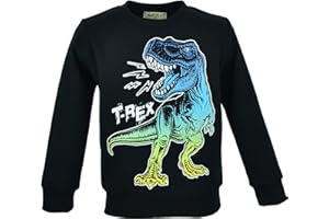 MARIELA KIDS Kinder Dino Pullover | Sweatshirt Jungen | Winterpullover Dinosaurier | T-Rex Print | Baumwolle | Langarmshirt | Warmer Kinderpullover