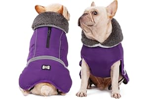 JRANTER Waterproof Windproof Dog Cold Weather Coats-Warm Dog Clothes Clothing Jackets for Small Large Medium Girl Boy Outdoor Indoor Activities (purple, Medium)