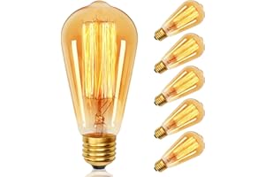 YUNRRD Vintage Light Bulbs E27 Edison Screw Bulb 40W,ST64 E27 Dimmable Warm White 2700K,Incandescent Light Bulb Retro Amber Glass Squirrel Cage Shaped Filament Lamp Decorative Bulb,220V-6Pack
