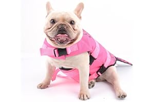Hifrenchies Hundeschwimmweste Hai Schwimmweste Haustier Sicherheit Badeanzug Rettungsweste für Französische Bulldogge(Größe M, Meerjungfrau)