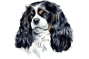 Eiialerm Kits punto croce per adulti Cavalier King Charles Spaniel kit mestieri ricamo principianti,Decorazioni la casa-40x50cm (Tela prestampata 11CT)