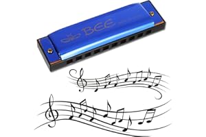 RosewineC Harmonica, 10 Holes 20 Tones Mouth Organ Key of C Stainless Steel Mini Blues Harmonica for Kids Adults Beginners and Performers