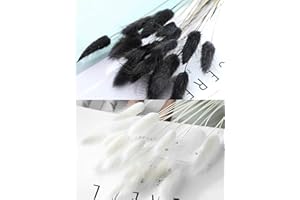 YUKIYI Lagurus Bunny Tails Pampasgras Dekor für Heimdekoration, Kuchendekoration, Kaninchenschwänze, getrocknete Blumen, Blumenstrauß für Boho-Dekoration, Tischdekoration, Schlafzimmer-Dekoration, 60 Stiele,