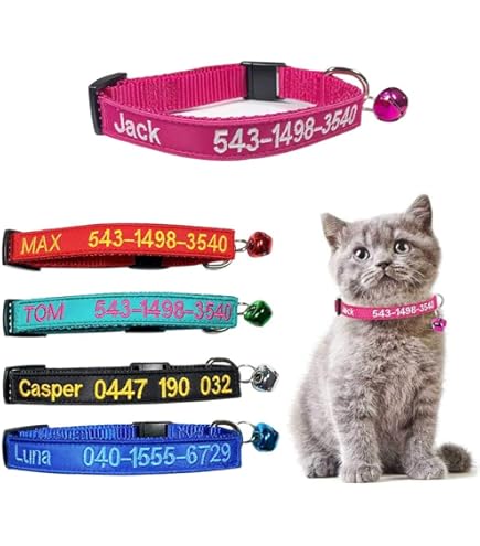2026 Nuovo ID Cane Personalizzato Inciso Cucciolo Gattino Nome Anti Perso Ciondolo Etichetta Collare Personalizzato In Acciaio Inossidabile Accessori Animali Domestici 250207 Spedizione Gratua Da 19,95 € | DHgate - Foto 4