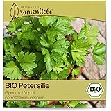 Samenliebe BIO Petersilie Samen Gigante di Napoli italienisch großblättrig glatt 500 Samen samenfestes Kräuter Saatgut für Kü