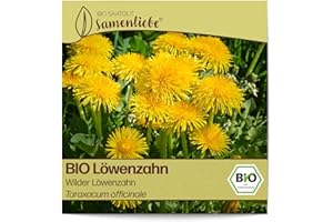 Samenliebe BIO Löwenzahn Samen Wilder Löwenzahn würzige Wildkräuter Salatkraut gelb 800 Samen samenfestes Kräuter Saatgut für Küche indoor und Balkon Garten BIO Kräutersamen mehrjährig und winterhart