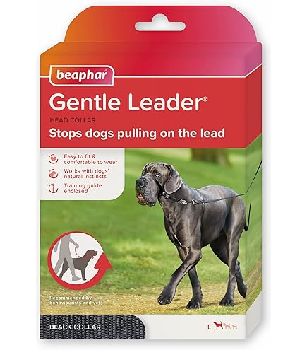 Canny Collar – Anti-Trek Hoofdhalsband voor Honden | Trainingshulpmiddel tegen Trekken aan de Lijn | Zacht, Veilig en Zonder Wurging voor Rustige Wandelingen – Zwart, Maat 7