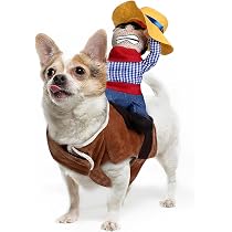 Halloween-Kostüm Für Hunde – Chucky Puppe, Verstellbar, Für Kleine & Mittlere Hunde