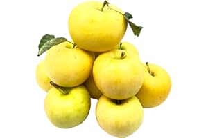 ‎BLEICHHOF Bleichhof Äpfel Sonnenglanz Allergikerfreundlich - fruchtig säuerliche Sorte aus der Pfalz (10kg) Neue Ernte