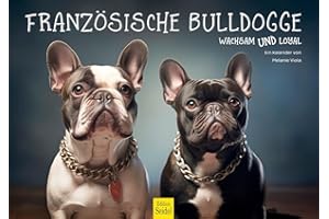 Edition Seidel Kalendarz premium buldog francuski na rok 2026, format DIN A3, kalendarz ścienny, kalendarz ścienny, dla psa, szczeniaka, rasy psów, zwierząt domowych, melanie, altówka