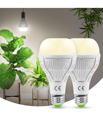 Lampe De Table EGLO Vintage Bordesley Boho LED 1xE27