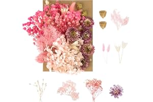 RUGBOL Fiori Secchi Pressati per Artigianato Fai da Te, Arti, Resina, Scrapbooking, Creazione di Gioielli, Decorazioni Floreali (Rosa)
