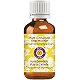 Deve Herbes Cinnamon Essential oil (Cinnamomum zeylanicum) Pure | Non-Sticky | Non-greasy | Lightweight | Men & Women | All Skin Types | Steam Distilled 30ml