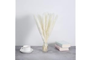 GEFIRE 30 Stück 44cm Trockenblumen, Pampasgras getrocknet, Trockenpflanzen, Schilfgras, Pampasgras, Stäbchen Pampasgras, Pampasgras Federn für Florale Wohnkultur, Boho Deko (weiß)