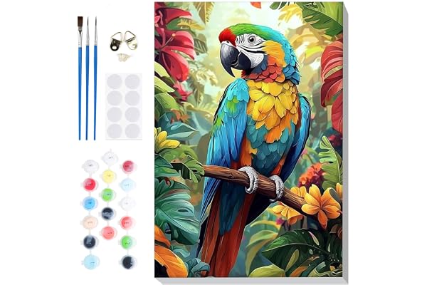 Lxmsja Peinture Numero Oiseau Adulte avec Cadre, Peinture par Numero Animaux, Peinture Acrylique Numéro d'art avec Pinceaux, Loisirs Créatifs Adultes, Activité Manuelle Adulte, 20x30cm