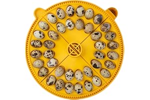 Brinsea Products Maxi Advance Inkubator, kleines Eierviertel, 40 Wachteleier, Gelb