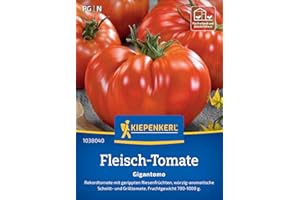 Kiepenkerl Fleisch-Tomatensamen Gigantomo 1038040 - Riesenfrüchte - Fruchtgewicht 700-1000g - Gemüsesamen, Samen Gemüse, Gemüsepflanzen, Saatgut