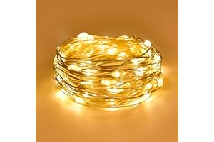 Dalugo Guirlande Lumineuse, 2m 20 LED Guirlande Lumineuse a Pile, Blanc Chaud Guirlande LED à Pile pour chambre à coucher, fête, mariage