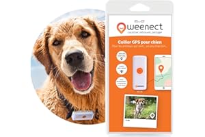Weenect Dogs 2 - Collier GPS pour Chien | Suivi GPS en Temps réel | sans Limite de Distance | N°1 en France | Plus Petit modèle du marché | Fonctionne avec abonnement