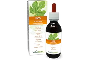 Fig Tree (Ficus carica) Alcohol-Free Bud Extract from Fresh Buds Naturalma - Liquid Drops 120 ml - Food Supplement - Vegan