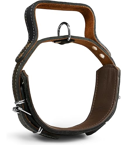 MICHUR Diego Lederhalsband Für Hunde - Braunes Leder Mit Löwenkopf & Goldnieten - Weich & Fellschonend