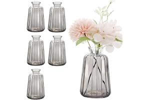 Avmvnvc 6 Mini Vases en Verre - Petits Décoratifs de Table Mariage - Vintage Single-Mini Vase pour Décorations de Table Moderne, Gris