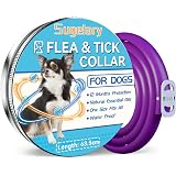 Calier Merlin Collar Antiparasitario 65 Cm - 1 Unidad : Amazon.es:  Productos para mascotas