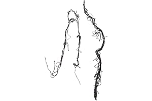 FINEST AQUATICS Flexible Jungle Climbing Vine Reptile Vivarium Bendable Habitat Decor Thick Thin (Thin Vine)