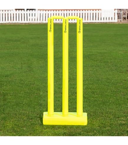MPL Gardening MPL50120/R/10 Cricket And Sports Boundary Marker Flags