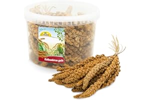 JR FARM Birds mijo de mazorca Amarillo en Cubo 500 g