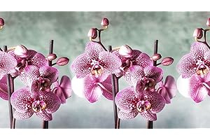 TAPPETIK Tappeto cucina antiscivolo, stampa digitale, ampia gamma di colori e disegni MADE IN ITALY varie misure (52 x 330 cm, Fucsia orchidea)