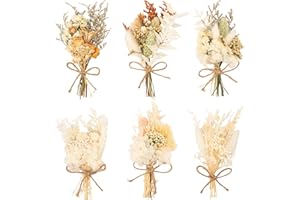 LAUMOE 6 Pcs Fleurs Séchées, Fleur Séchée Bouquet de Fleurs Séchées Fleurs Sechees Vrac Fleur Sechees Decoration pour Scrapbooking Bougie Bricolage Résine Époxy Floral Fabrication (Style 3)