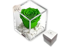 PREMIUM-ROSE.COM PREMIUM ROSE - Cubo Rosa Stabilizzata Verde 8 cm con Marmo di Carrara - Rosa Eterna Stabilizzata Made in Italy Idea per Auguri di Nuovi Inizi e Decorazioni - Verde A 1089