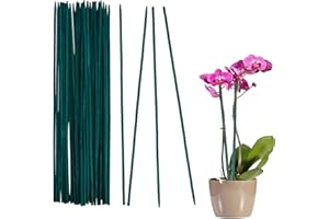 LEFEIRR Lot de 30 bâtons de support pour plantes - 30 cm - Résistants aux intempéries - Bâtons floraux de jardin pour pois et légumes