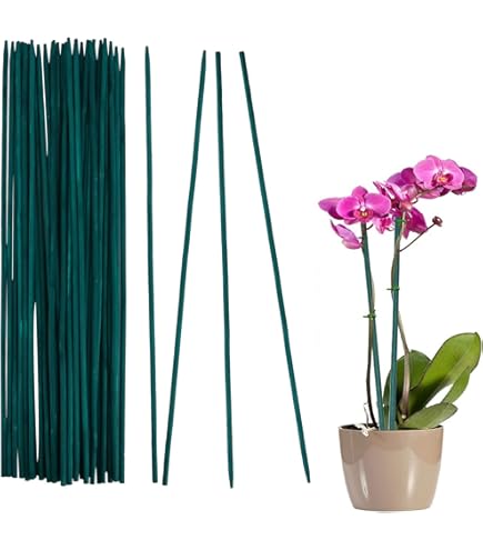 Lot De 100 Supports Pour Orchidées, Plantes De Jardin