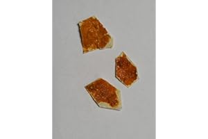 Générique Lot de 3 Sclérotes de Blob Jaune Japonais (Koro)