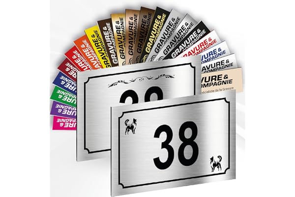 Plaque de Numéro De Rue Déco Personnalisable – Numéro De Maison PVC Extérieur - Motif Et Numéro Gravé – Fixation Au Choix – 15 x 10 cm (Gris Alu Métallisé + Dessin)