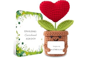 BOAITE Geschenke für Frauen Geburtstagsgeschenk für Frauen Geschenk Gestrickte Herzblume Gute Besserung Geschenke Mama Schwester Kollegin Geburtstagsgeschenk Positive Kartoffel Deutsch Ersatz