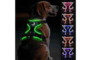 Joytale Harnais Lumineux Rechargeable pour Chiens de Taille Moyenne, HHarnais LED Anti-Traction Chien réglable réfléchissant avec poignée, pour Promener la Nuit, Vert, M