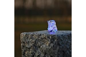 CLGarden LED Ring RGB Multicolor für Bunte Springbrunnen Beleuchtung Farbwechsler