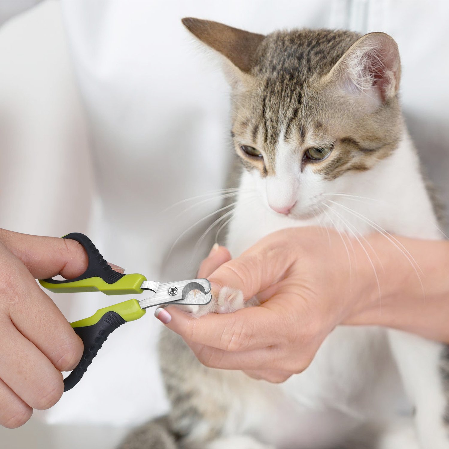 Pecute Cat Nail Clippers Sharp Stainless Steel Professional Pet Nail Trimmers for Cat,Small Breed Dog, Rabbit And Small… - immagine 4
