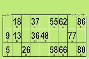 CARTALOTO-1000 Cartons de Loto Bristol 224gr, Format Standard, Couleur : Vert, GTCB1000-03, Multicouleur