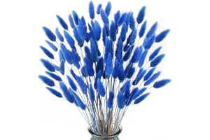Minnhua 120PCS Erba della Pampas Fiori Secchi Coda di Coniglio Blu Pampas Fiori Secchi Naturali Erba Coda di Coniglio Essiccati per Decorazioni Casa Tavola Matrimonio Vaso Feste