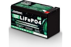 EVEREXCEED Batería Lifepo4 de 12V 8Ah con más de 3000 Ciclos Profundos Bateria Litio 12V Para Energía Solar/Eólica, Iluminación, Sondas de Pesca, Power Wheels más, BMS integrado de 10A