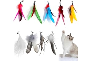 Mezrkuwr 9 pezzi giocattoli per gatti a forma di piuma con campane, piume di ricambio per gatti, giocattolo interattivo per gatti, multicolore