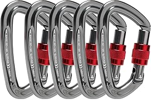 Paliston Mousqueton Escalade 25kN Mousqueton à Verrouillage Mousqueton en Forme de D